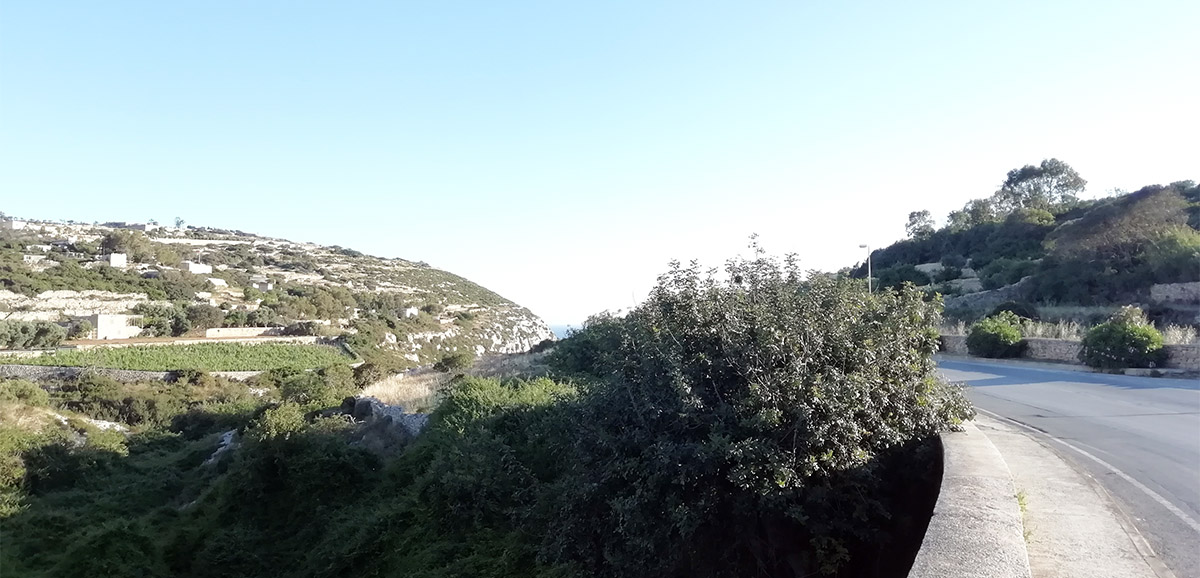Zurrieq Running Route